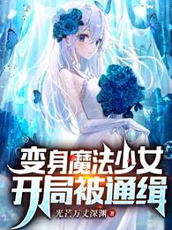 变身魔法少女，开局被通缉(2)