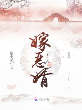 嫁恶婿(3)