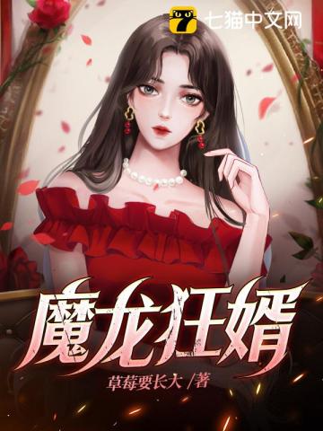 魔龙狂婿(3)