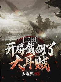 三国：开局截胡了大耳贼(2)