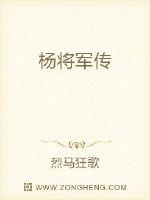 杨将军传(2)