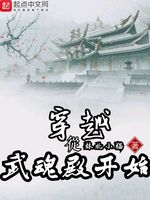 穿越从武魂殿开始(3)