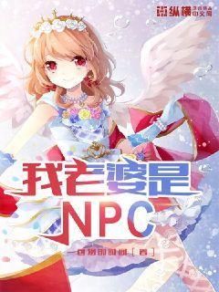 我老婆是NPC(4)