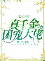 真千金是团宠大佬(2)