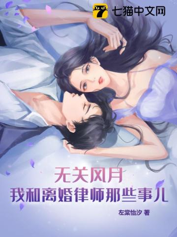 无关风月，我和离婚律师那些事儿(3)