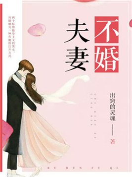 不婚夫妻(4)