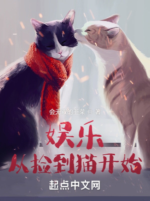 娱乐从捡到猫开始(2)