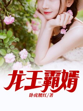 龙王霸婿