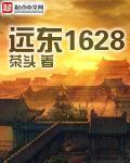 远东1628(4)