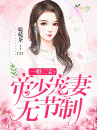 一婚二宝：帝少宠妻无节制(2)