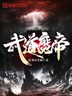 武道魔帝(2)