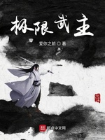 极限武主(2)