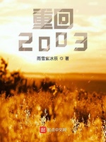 重回2003(4)