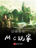 三国里的MC玩家(2)