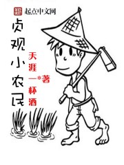 贞观小农民(4)